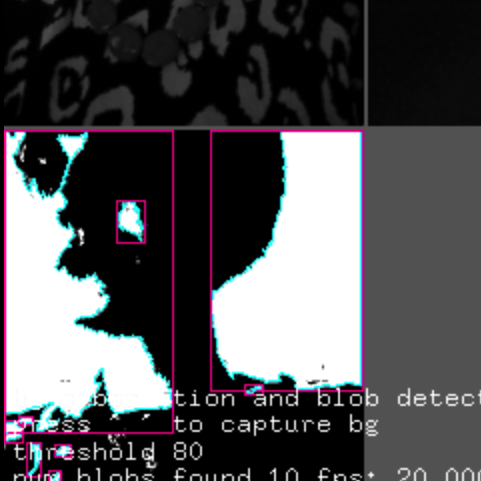 A screen capture of a posterized image of a person with purple box around certain features and some text related to image classification